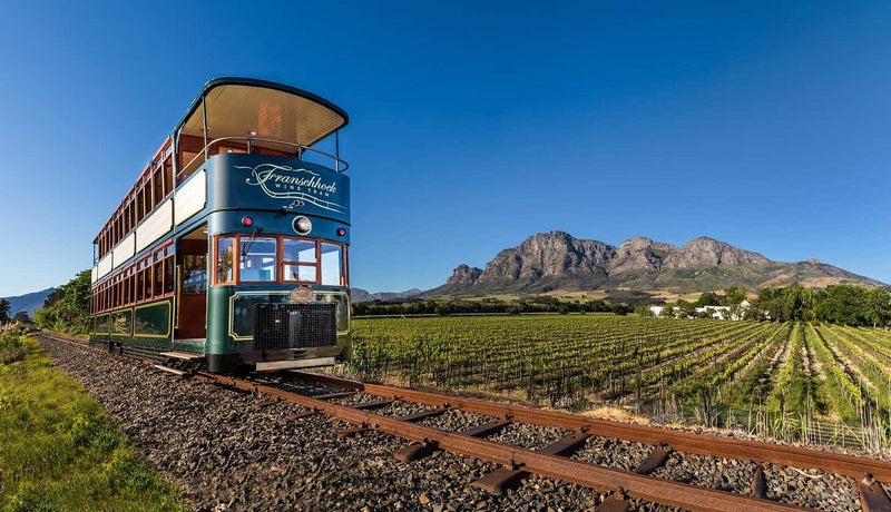 8 Days of Luxury: South Africa’s Winelands, Cape Town & Safari Adventure