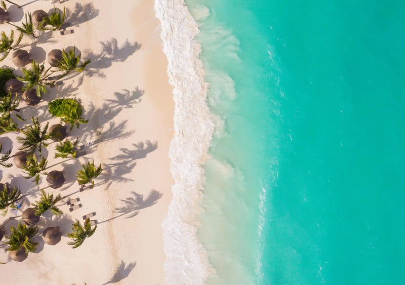 10-Day Luxury Tanzania Safari & Zanzibar